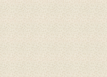 Rasch Novella 983111