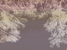 Wall street VETVE Vetve 12