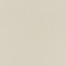 Обои шириной 52 см и длиной 10,05 метров Rasch Allegretto 423914